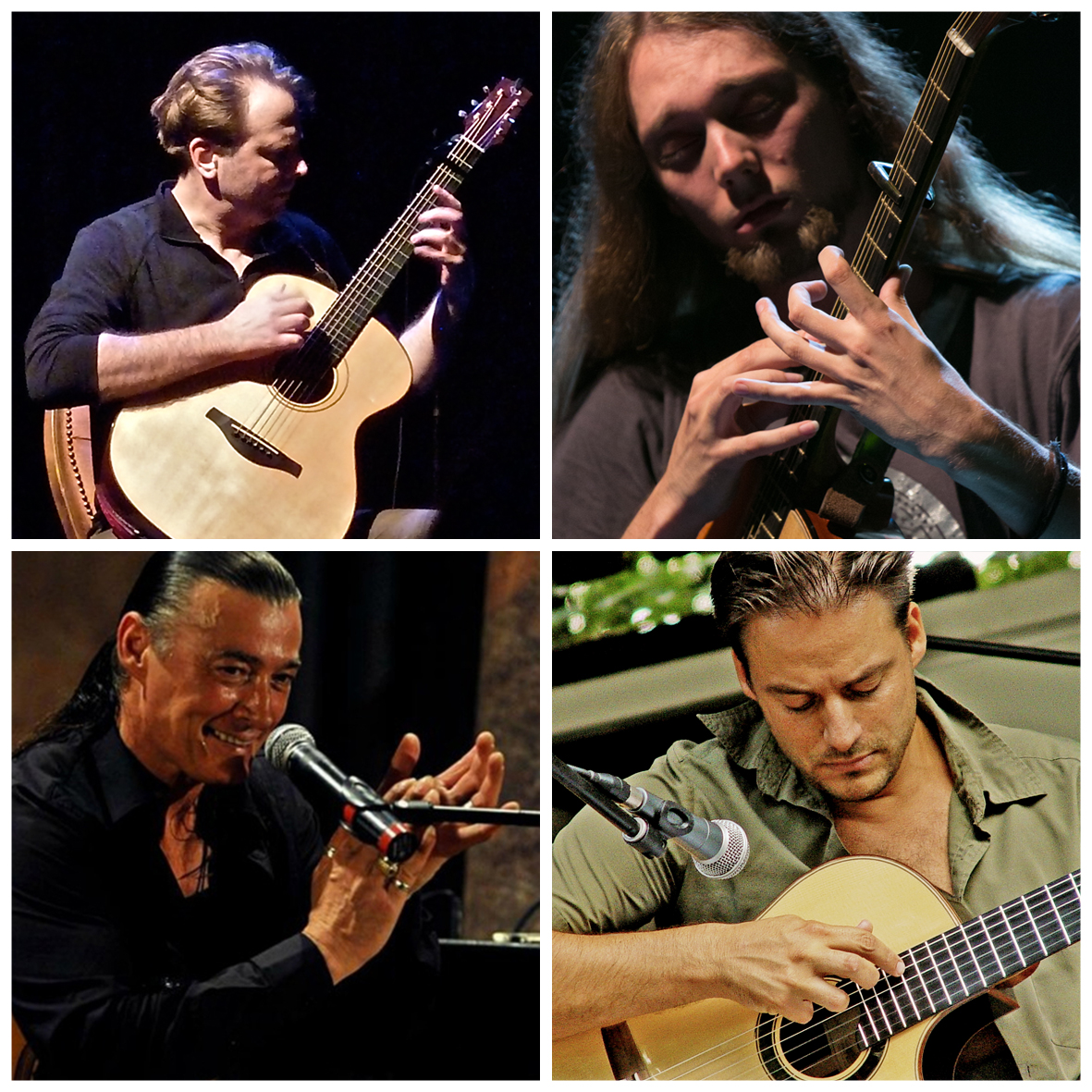 IGN2015-2016 4-up 300dpi.jpg